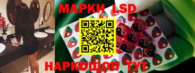 СК Пугачёв