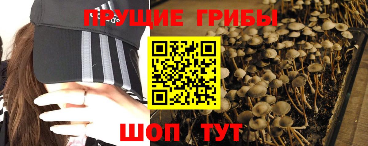 Ревда  Галлюциногенные грибы Psilocybine cubensis  Вход с VPN  Галлюциногенные грибы мухоморы 
